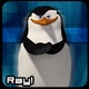 Ray!