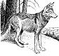 Wolffire