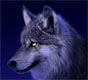 Wolfang