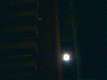 Lulit
