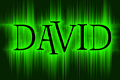 david_zs22