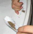 Elber Gudo