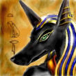 NeF XP