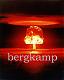 bergkamp_n10