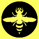 Aguijomnagico