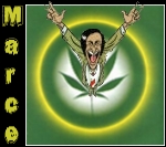 marce666