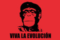 diquesi