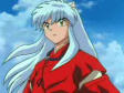 inu_puchy_12