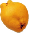 Membrillo