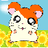 Hikaru78