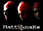 Mattsnake